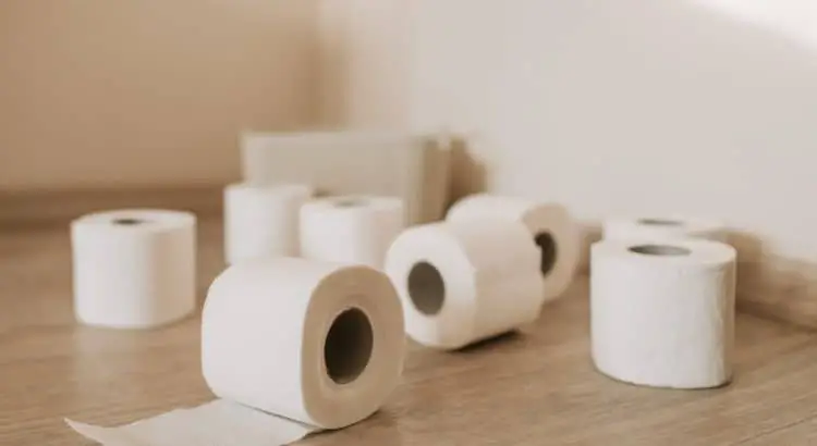 RV toilet paper