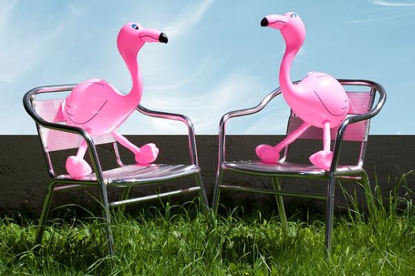 What do flamingos mean at RV parks? Probably nothing. 